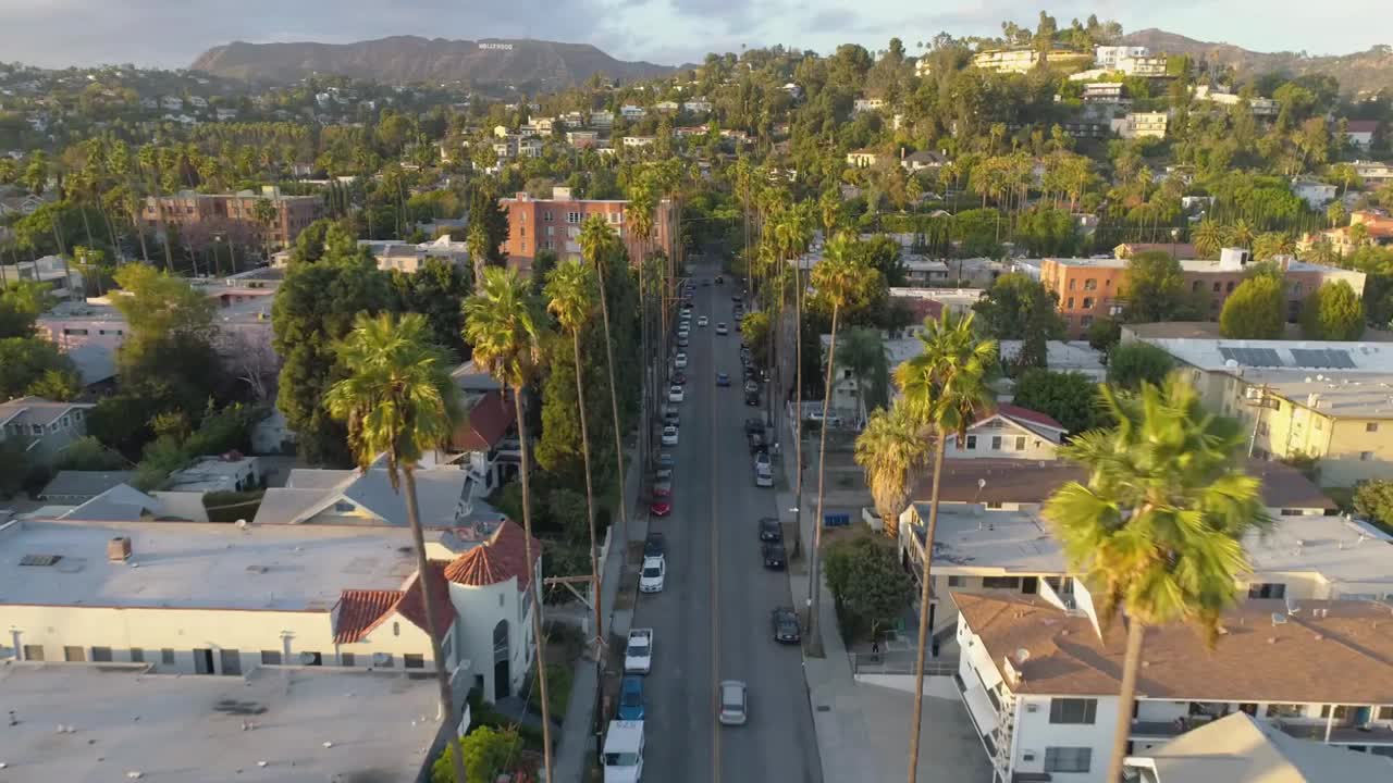 Aerial view of a palm-lined Los Angeles street at golden hour